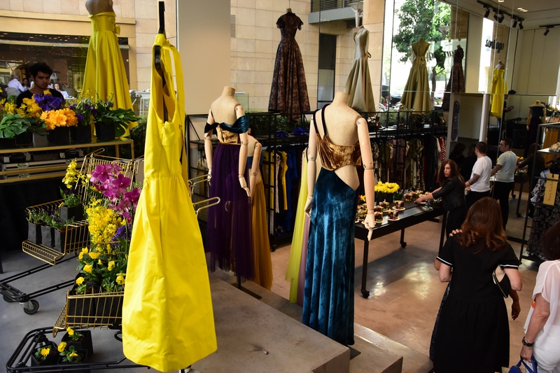 An Evening Around Dresses